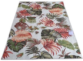 Koberec Champion 0,8/1,5 Hj1031-24