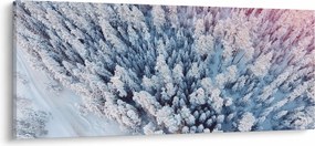 Obraz zasnežených stromov (120x50 cm)