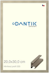 DANTIK rám na obraz 20x30 | ALU champagne (Sklo Čiré)
