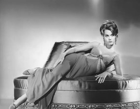 Umelecká fotografie Jane Fonda, (40 x 30 cm)