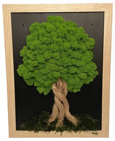 Machový obrázok v svetlohnedom ráme 34 x 44 cm
