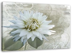 Obraz na plátně Vintage béžová květina - 60x40 cm