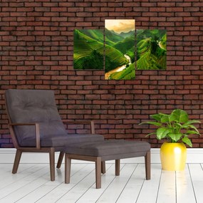 Obraz - Ryžové terasy Mu Cang Chai (90x60 cm)
