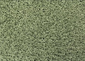 Koberce Breno Kusový koberec DOLCE VITA 01/AAA, zelená,200 x 290 cm
