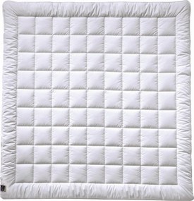 XXXLutz ZIMNÁ PRIKRÝVKA, 200/200 cm, polyester Billerbeck - Prikrývky & vankúše - 003279011801