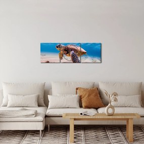 Obraz korytnačky v oceáne (s hodinami) (90x30 cm)