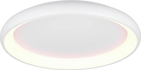 XXXLutz STROPNÉ LED SVIETIDLO, 75/9,5 cm Trio Leuchten - Interiérové svietidlá - 004102113903
