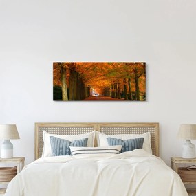 Obraz - Jeseň Alej stromov (120x50 cm)