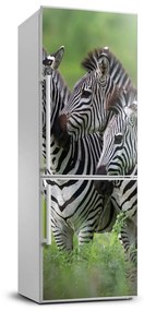 Foto nálepka na chladničku stenu Tri zebry FridgeStick-70x190-f-48214640