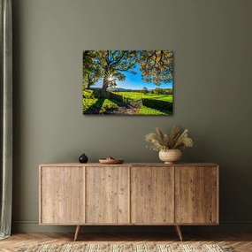 Obraz - Výhľad na pole (70x50 cm)
