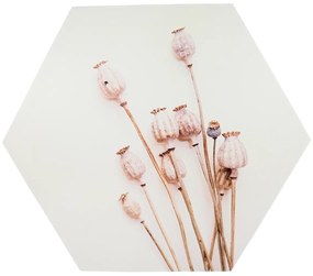 Nástenná dekorácia POPPY WOOD Ø 58 cm