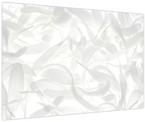 Obraz - Okvetné lístky (90x60 cm)