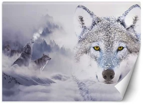 Gario Fototapeta Vlci v zime Materiál: Vliesová, Rozmery: 300 x 210 cm