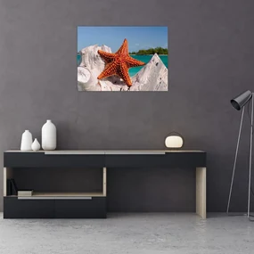 Obraz morskej hviezdice (70x50 cm)