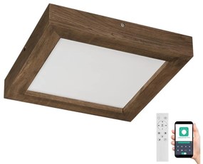 Brilagi-LED Stmievateľné svietidlo WOODY FRAME LED/24W/230V dub 30x30 cm IP44 + DO BG0861
