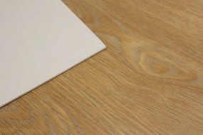 IVC Commercial, PVC podlaha - lino Logitex Ultimate 55 Elias T44, na mieru, šíře 2m,4m, hnedá, filc, chodba / predsieň