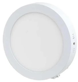LED Stropné svietidlo LED/12W/230V