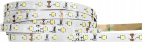 ECOLIGHT LED pásik - SMD 2835 - 1m - 4,8 W/m - IP20 - studená biela