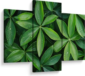 Obraz - Listy s kvapkami rosy (90x60 cm)