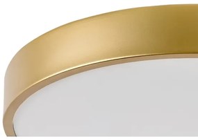 Rabalux 71037 - LED stropné svietidlo TESIA LED/36W/230V 3000K