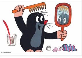 Drevené kocky s Krtkom - 6 ks