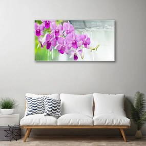 Skleneny obraz Orchidey kvapky príroda 100x50 cm