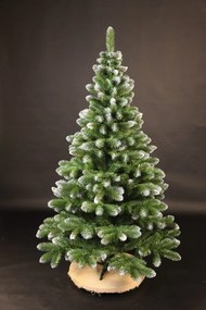 Vianočný stromček- Borovica so snehom 180cm