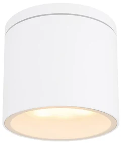 Globo 32063W - Vonkajšie stropné svietidlo ALCALA 1xGX53/11W/230V IP44 GL5217