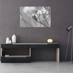 Obraz - Rozkvitnutý kvet (90x60 cm)