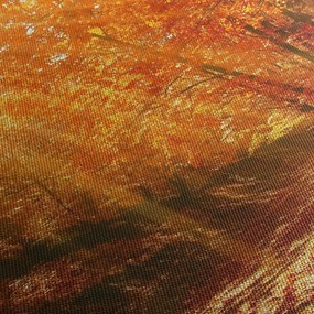 Obraz jesenného lesa (90x60 cm)
