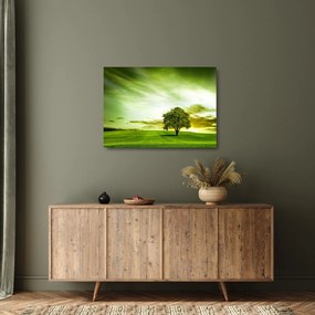 Sklenený obraz - Strom života (70x50 cm)