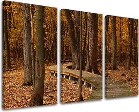 Obraz na stenu STROMY