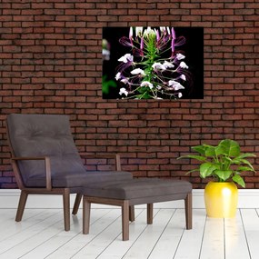 Sklenený obraz kvetu (70x50 cm)