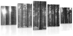 5-dielny obraz ráno v lese v čiernobielom prevedení Varianta: 100x50