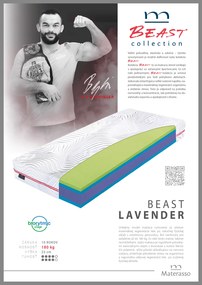 Materasso Penový matrac Beast Lavender Rozmer: 120 x 200 cm