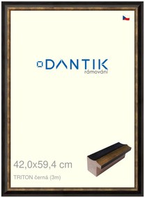 DANTIK rám na obraz 42x59,4 | TRITON černá (Plexi Čiré)