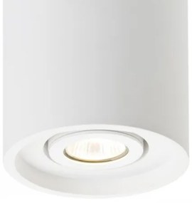 RED - Design Rendl - R10454 - Bodové svietidlo COLES 1xGU10/50W/230V