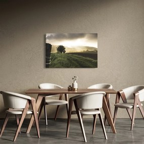 Obraz lúky (90x60 cm)