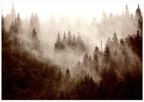Artgeist Fototapeta - Mountain Forest (Sepia) Veľkosť: 98x70, Verzia: Samolepiaca