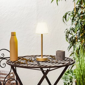 Stolná lampa mosadz vrátane LED nabíjateľná s dotykovým stmievačom - Renata