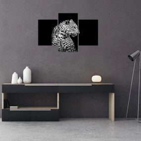 Obraz - Leopard (90x60 cm)
