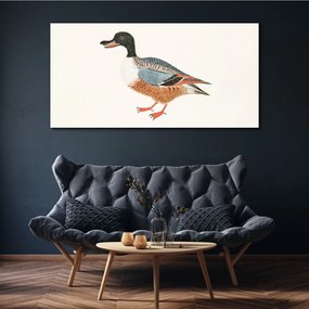 Obraz na plátne Kreslenie zvierat kačica pera