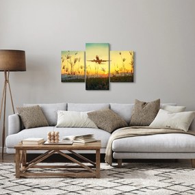 Obraz vzlietajúceho lietadla (90x60 cm)