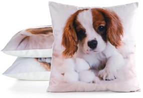 DETSKÁ DEKORAČNÁ OBLIEČKA NA VANKÚŠ ANIMAL72 45X45 CM VZOROVANÁ