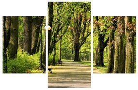 Obraz uličky v parku (90x60 cm)
