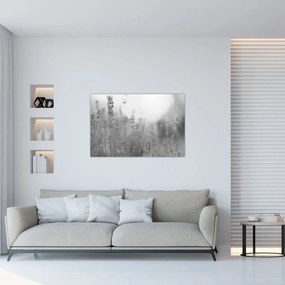 Obraz - Levanduľa (90x60 cm)