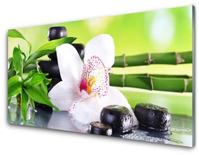 Sklenený obklad Do kuchyne Orchidea kamene zen bambus 100x50 cm