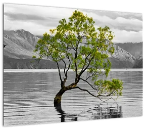 Sklenený obraz stromu uprostred jazera (70x50 cm)