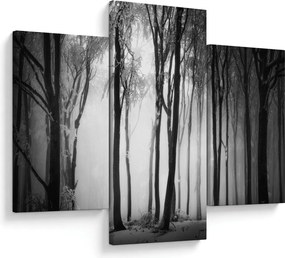 Obraz - Vlk v temnom lese (90x60 cm)