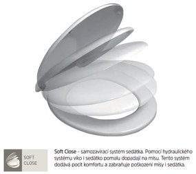 Mereo Mereo, WC závesné, RIMLESS, 530x355x360, keramické, vr. sedátka CSS113S, MER-VSD81S
